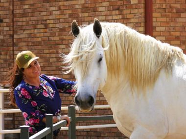 Percheron at Nampo Alfa 2023